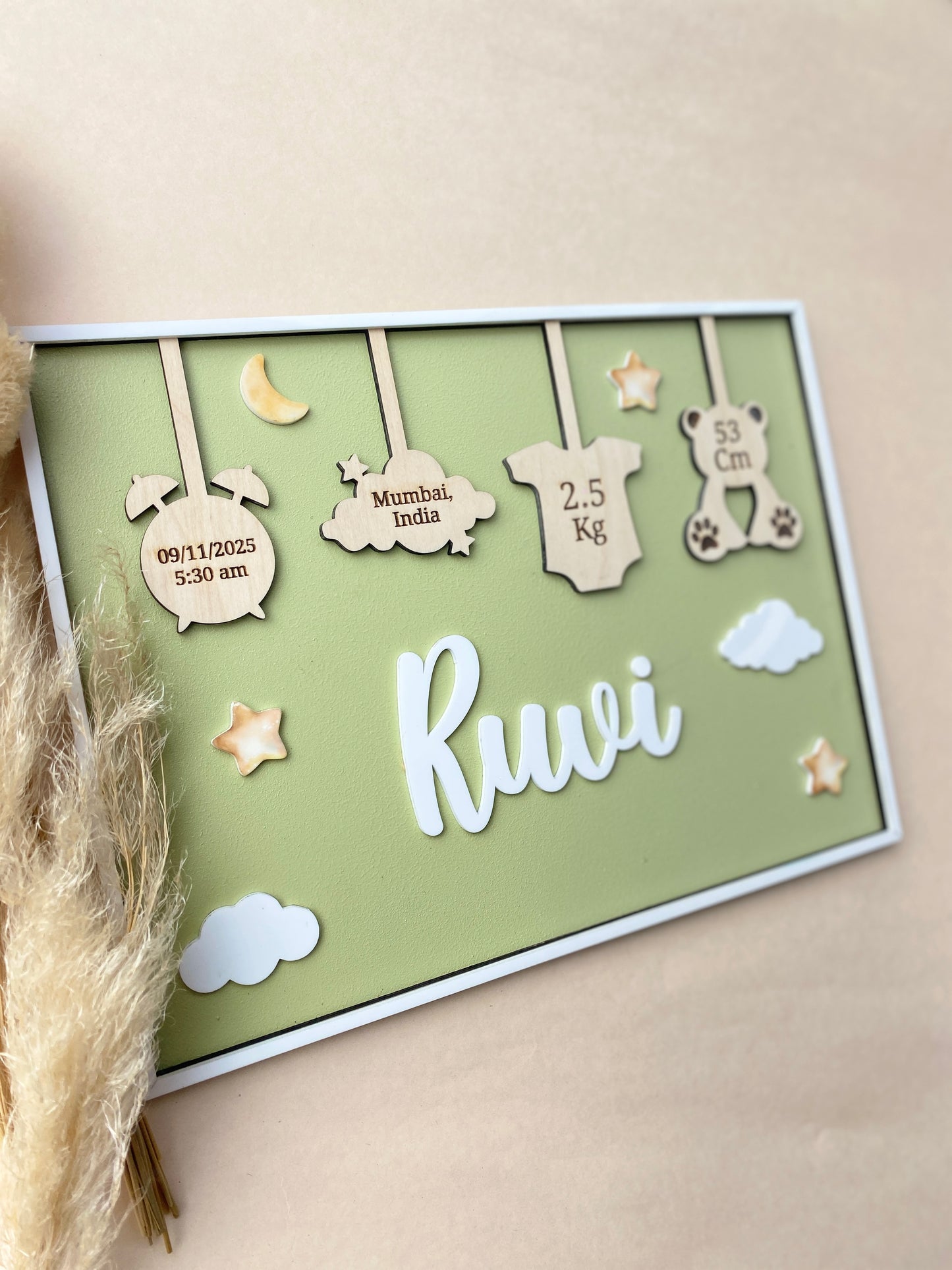 Birth Announcement Frame Sign | Olive fern