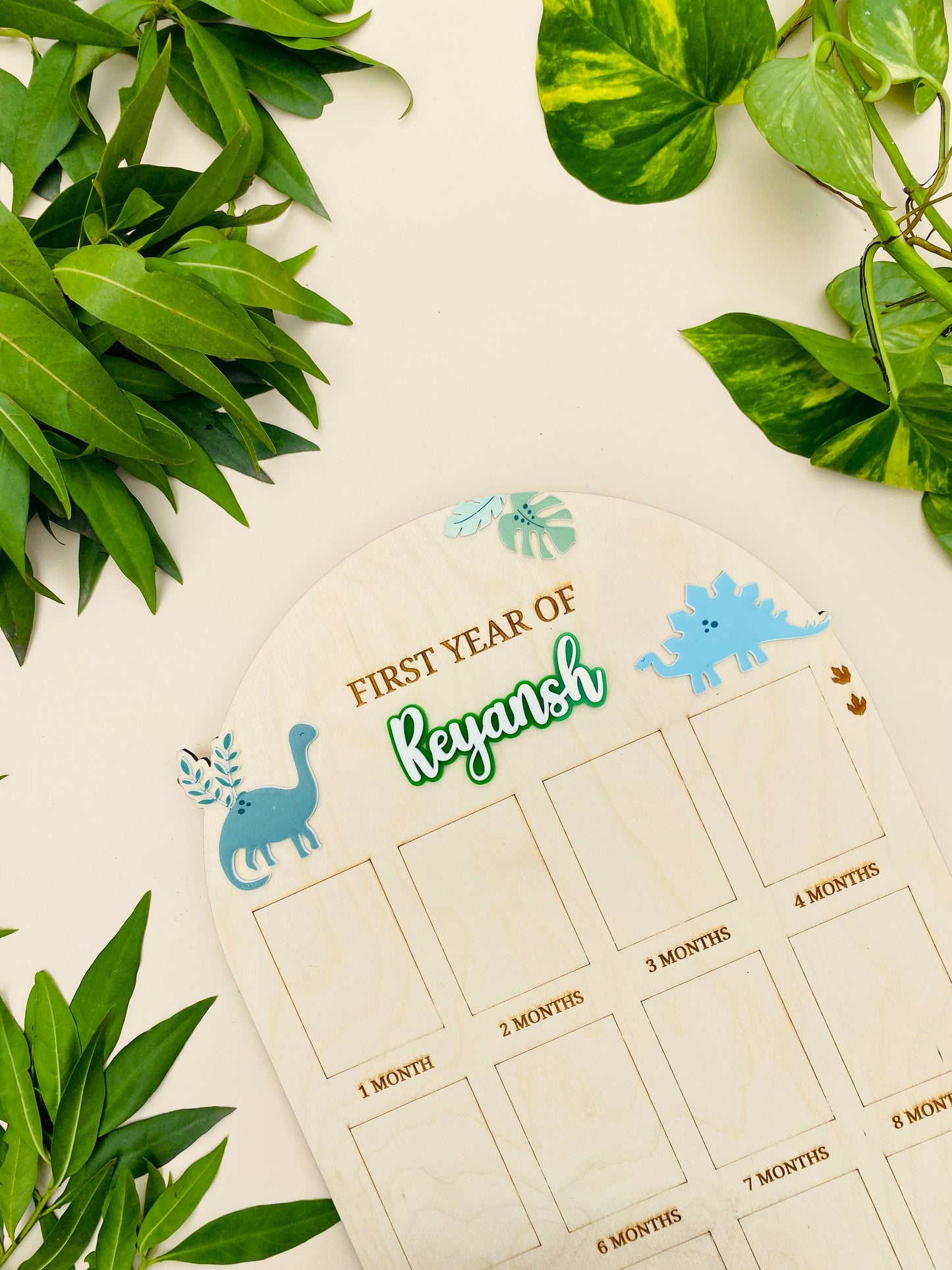 12 MONTH BABY PHOTO BOARD | BABY DINOSAUR THEME