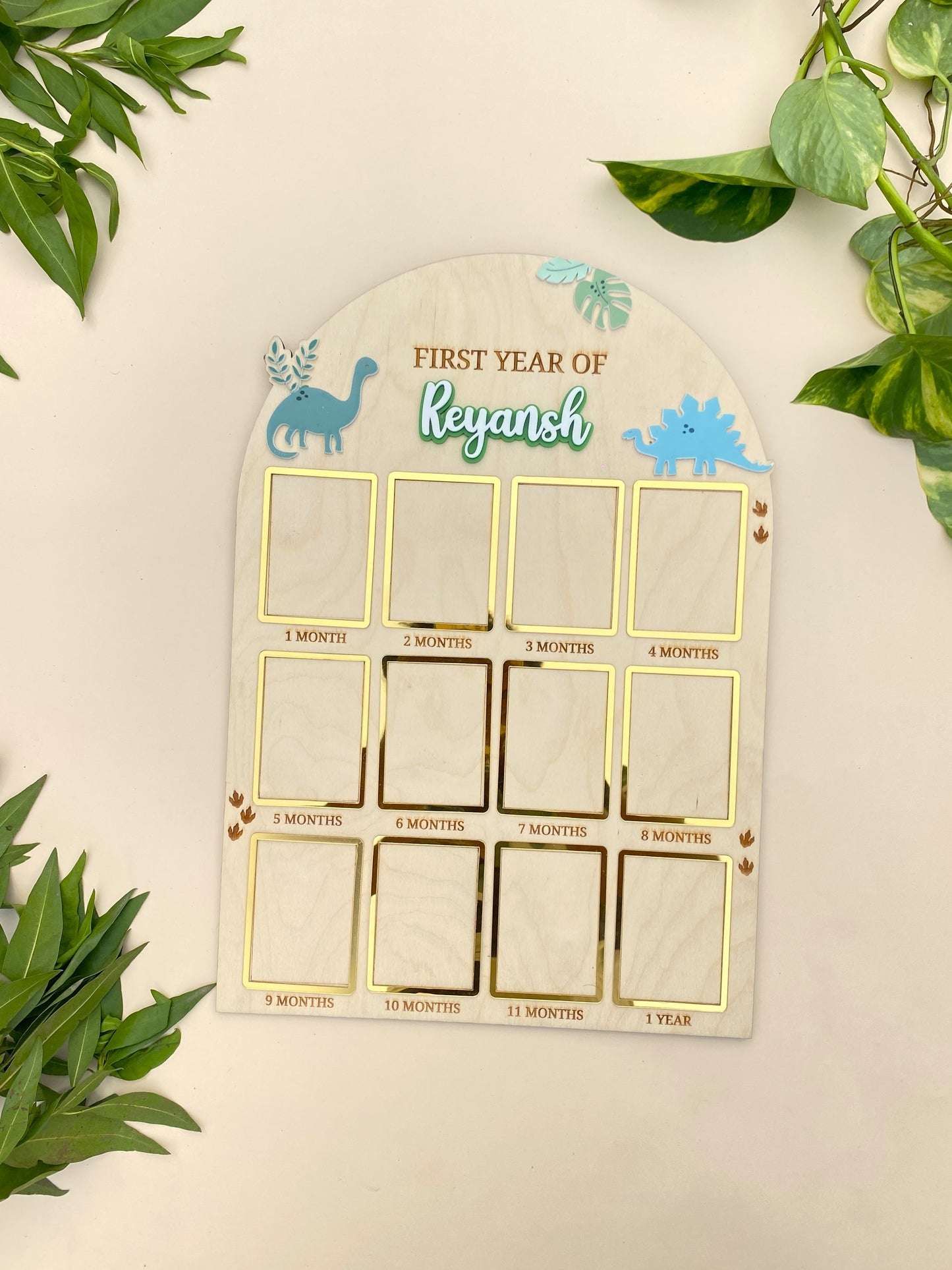 12 MONTH BABY PHOTO BOARD | BABY DINOSAUR THEME